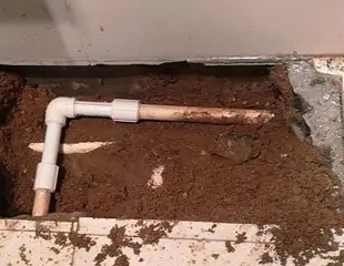 广平测漏水哪家好