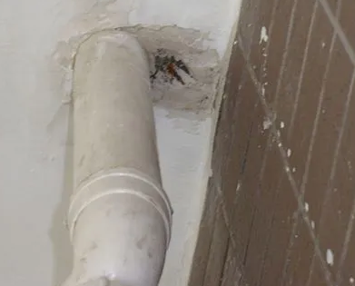 广平漏水检测哪家好